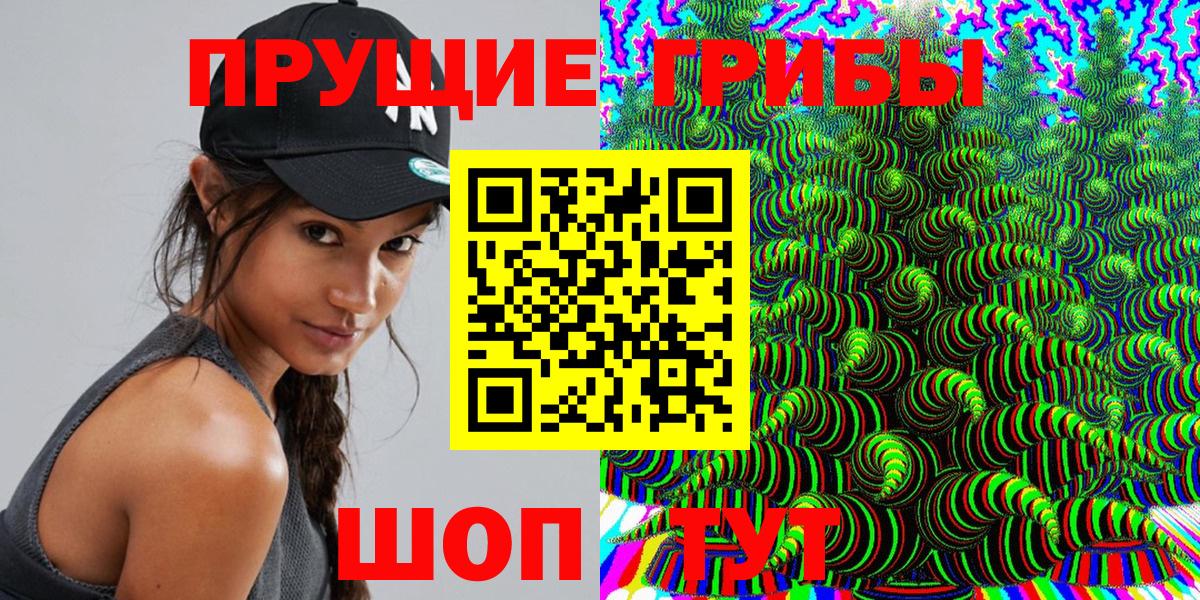 Галлюциногенные грибы Psilocybine cubensis  Вход с VPN  Протвино 