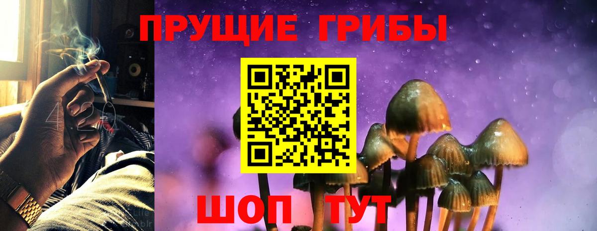 Псилоцибиновые грибы MAGIC MUSHROOMS Протвино